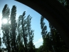 dscn8946