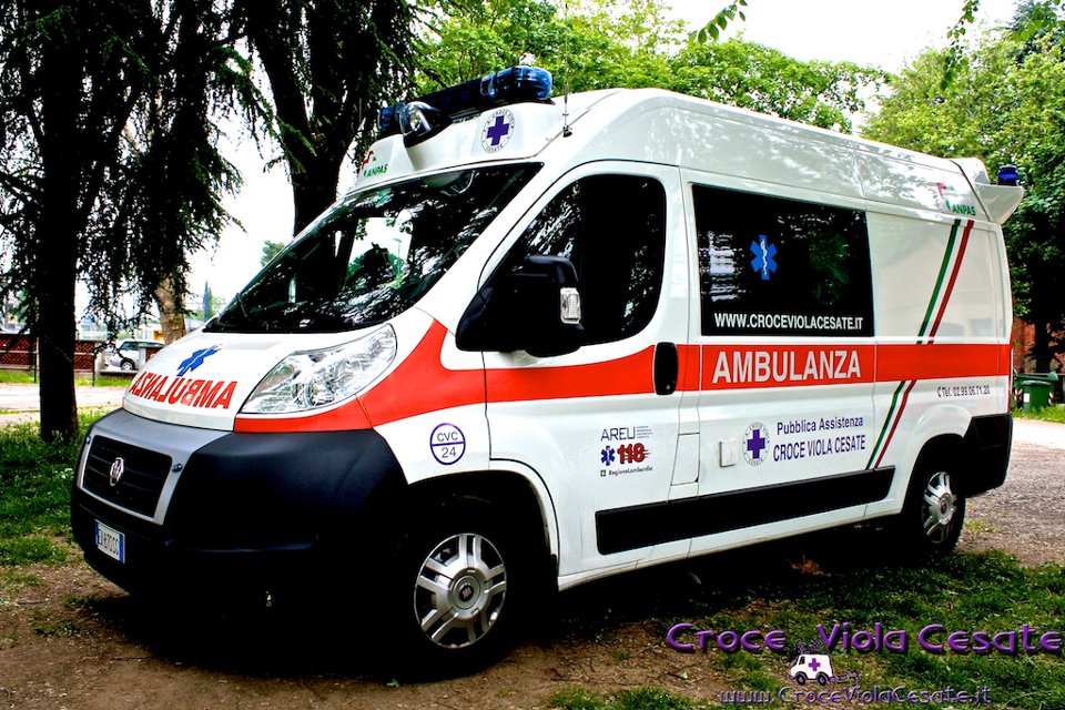 viocst24-02